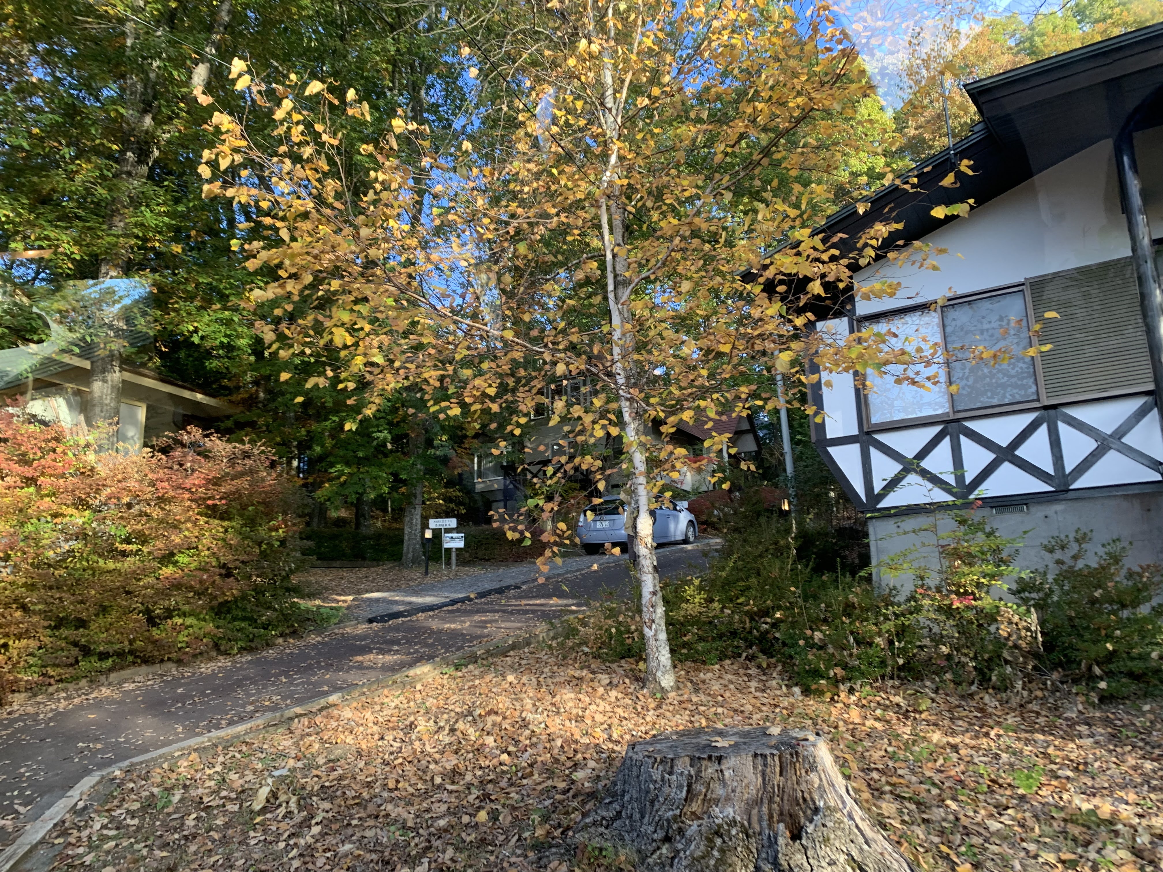 小木屋