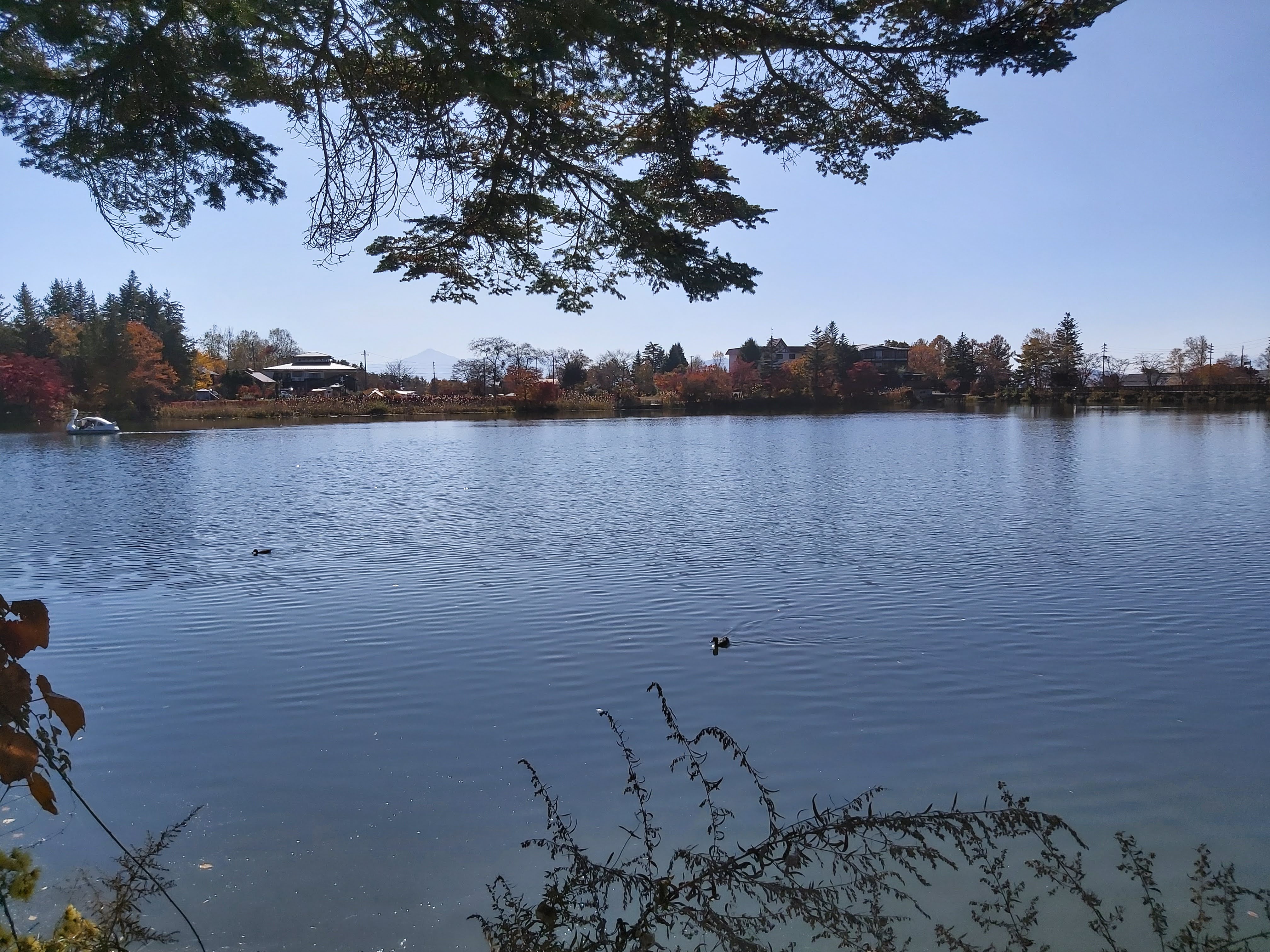 蓼科湖