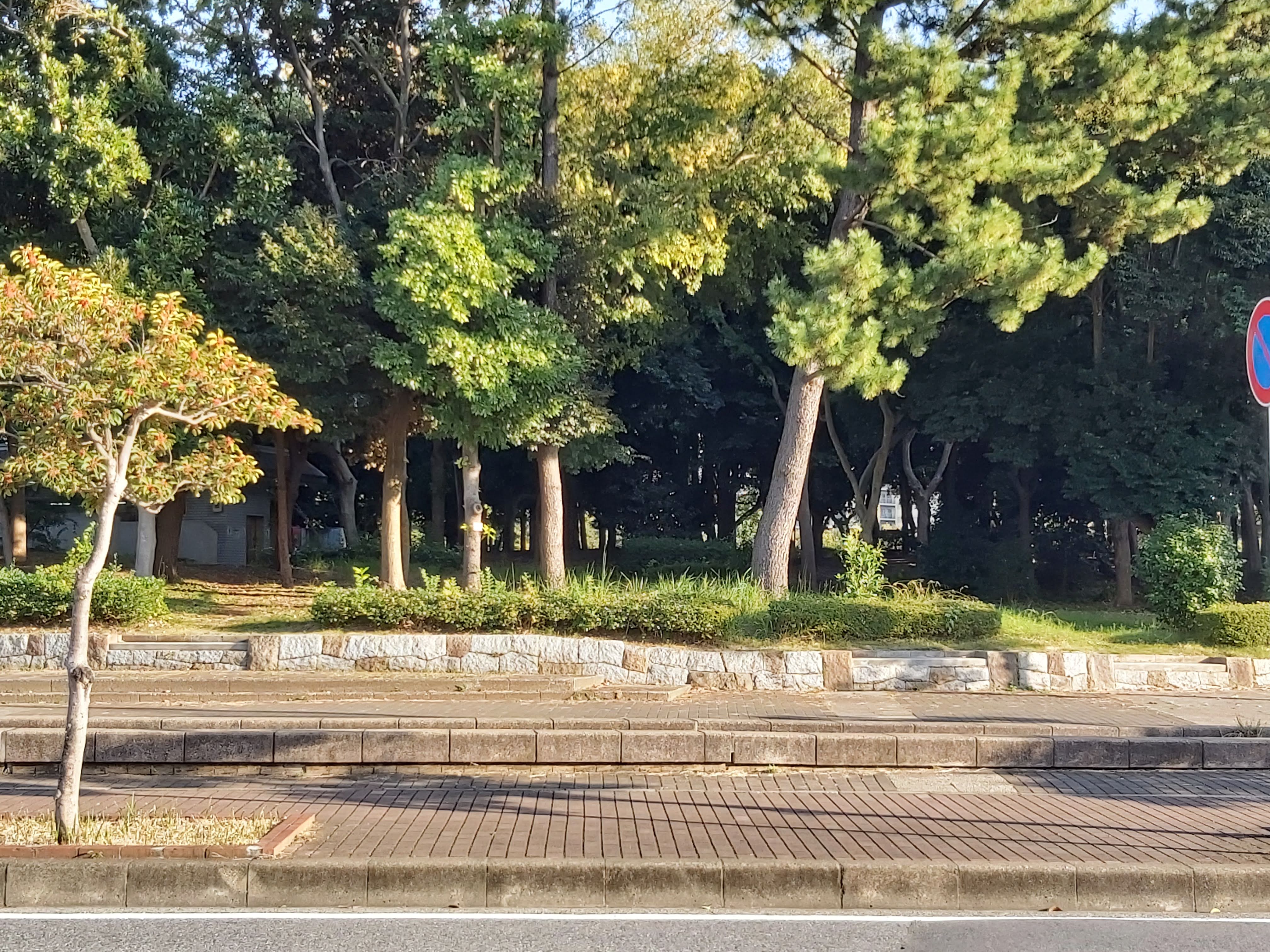 公園