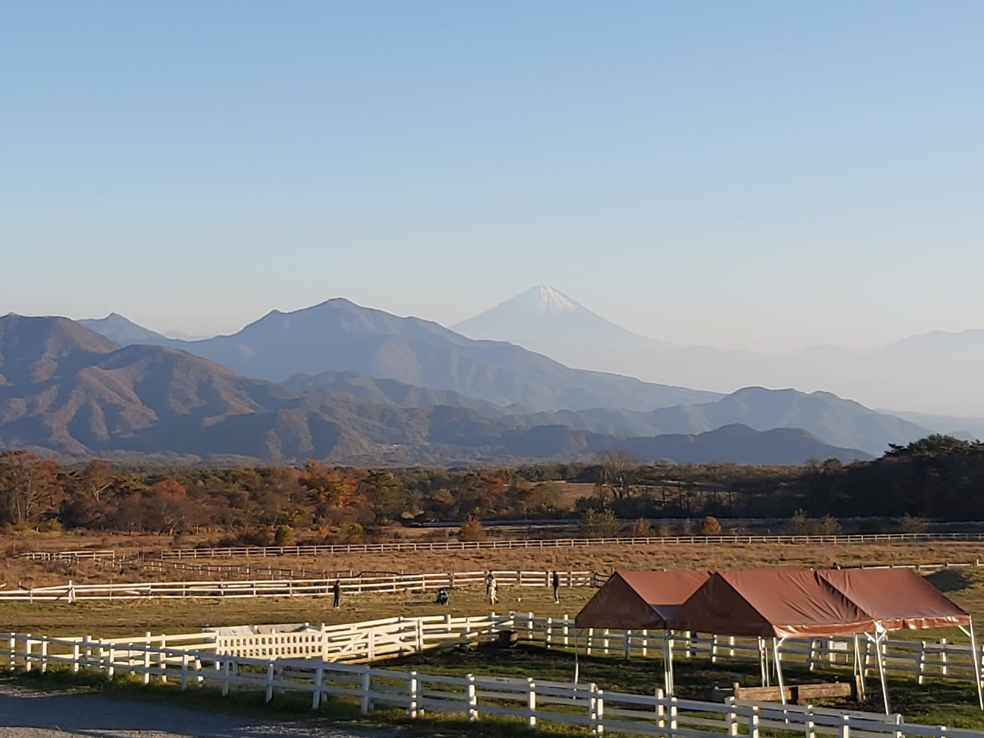 牧場