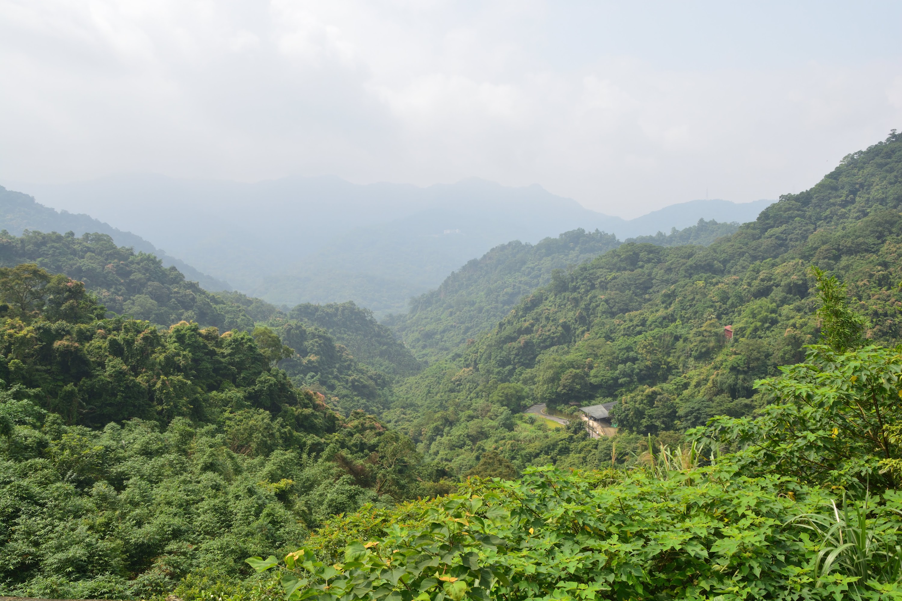 風景