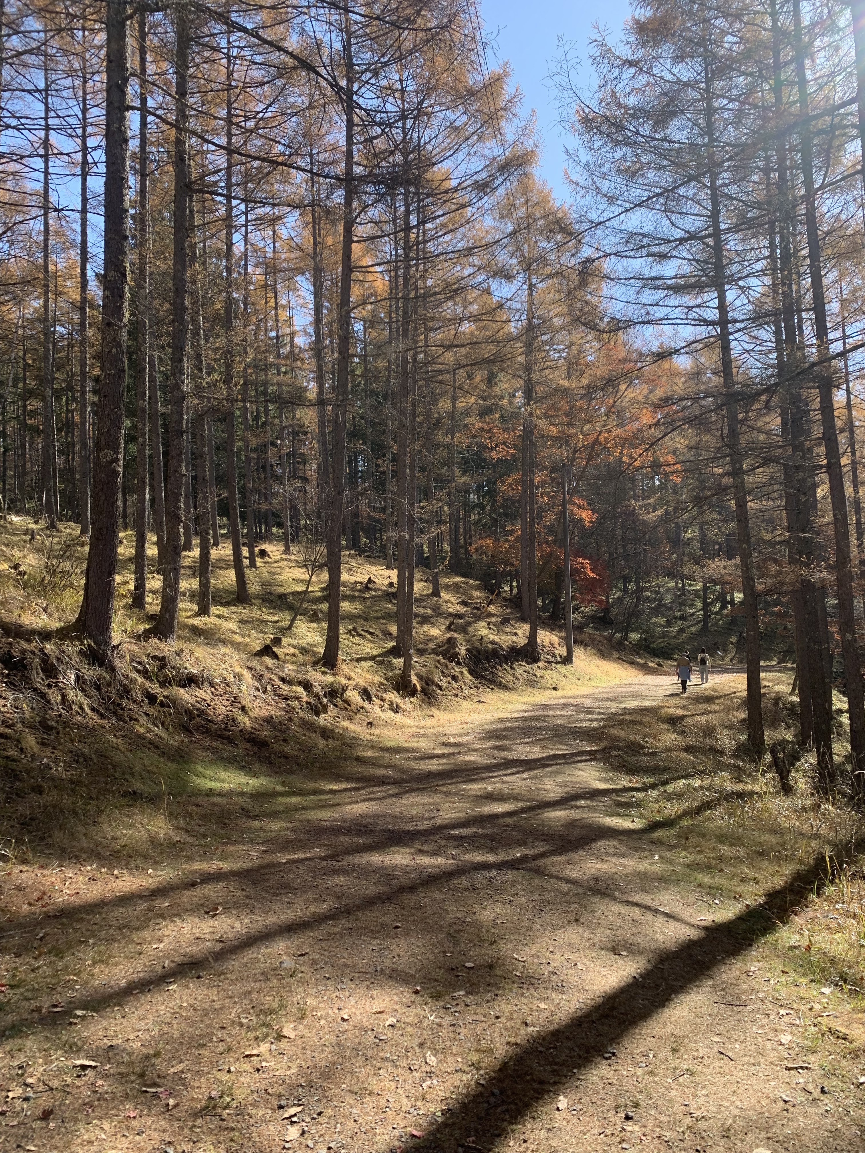 山路