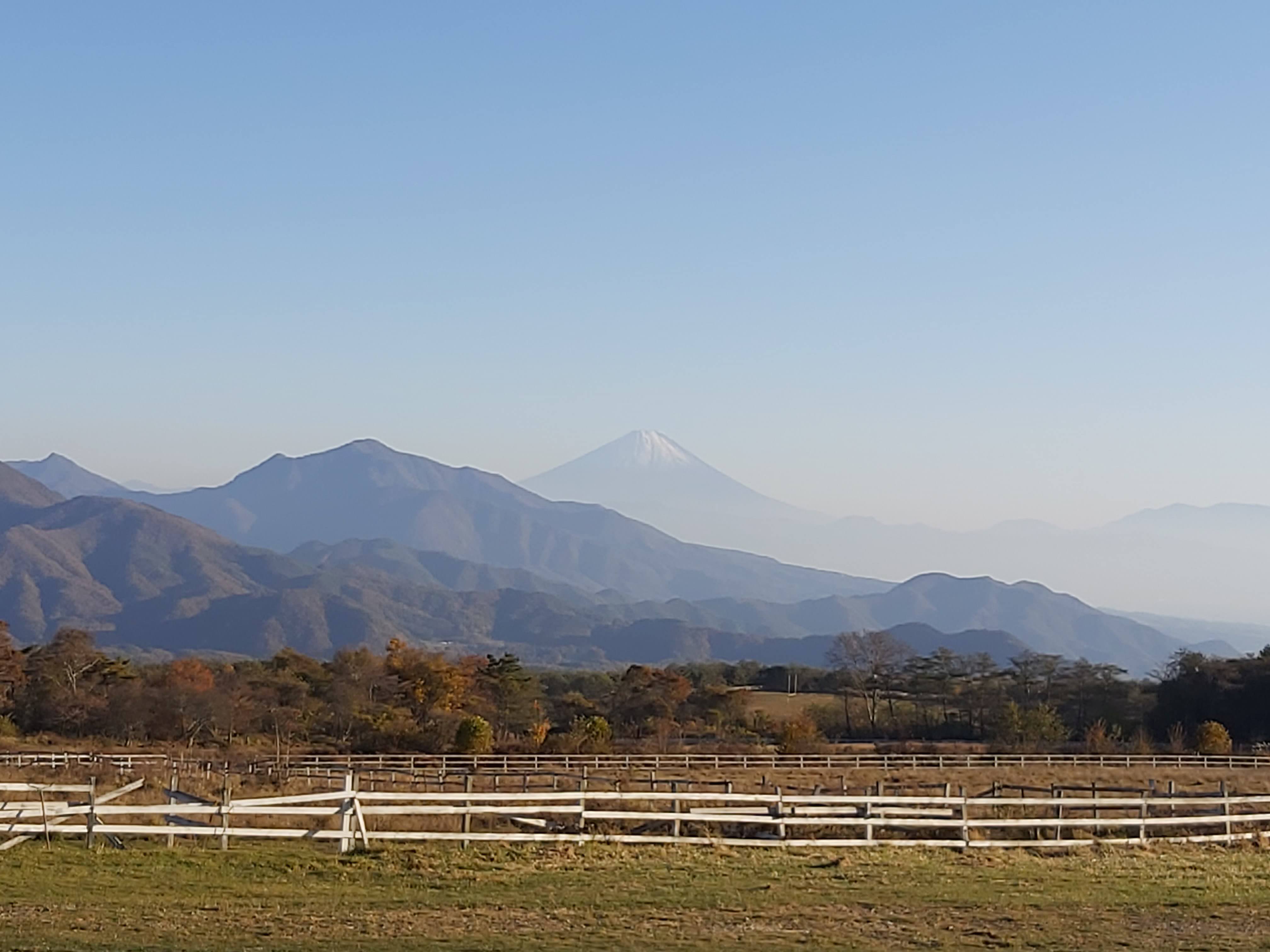 富士山