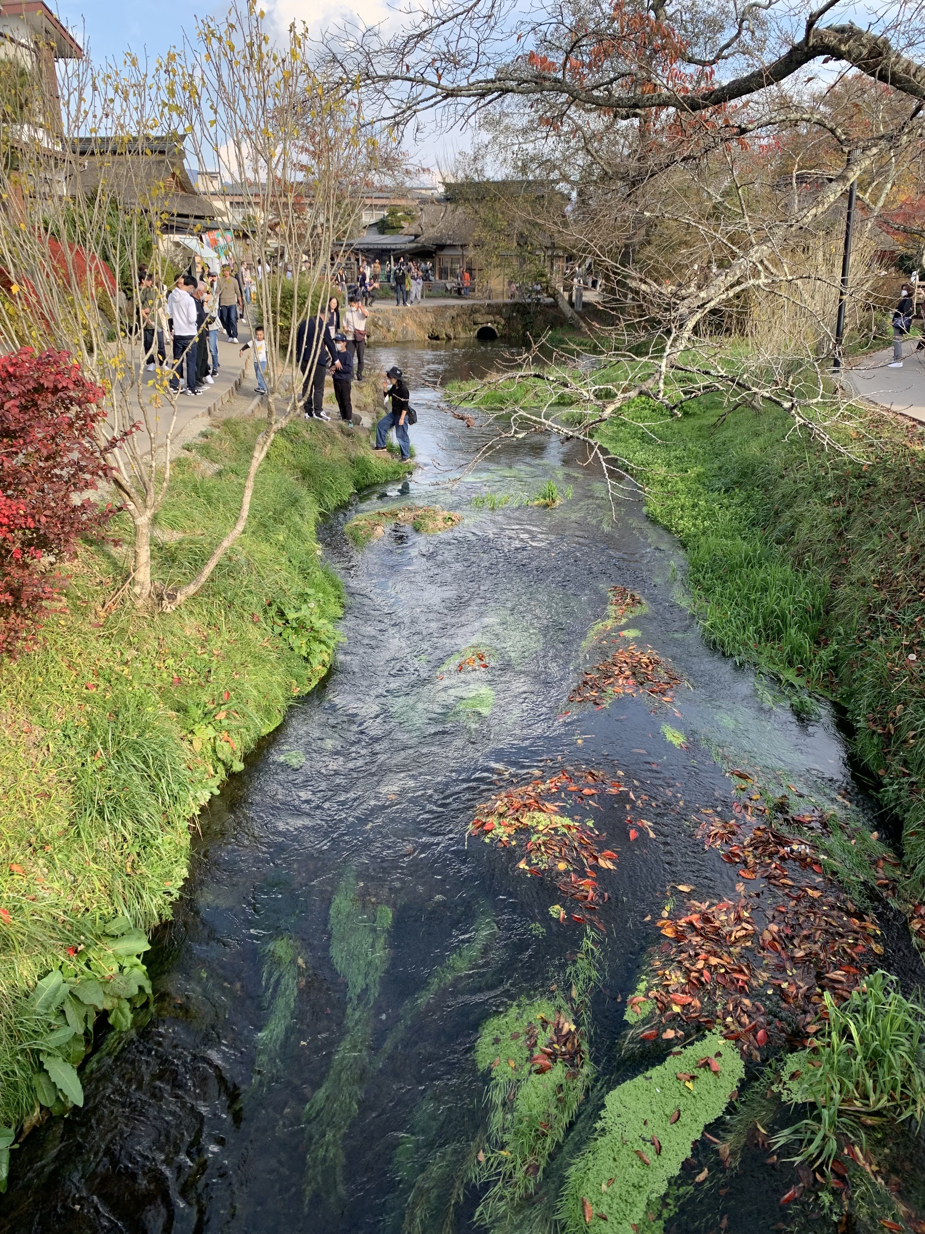 忍野八海
