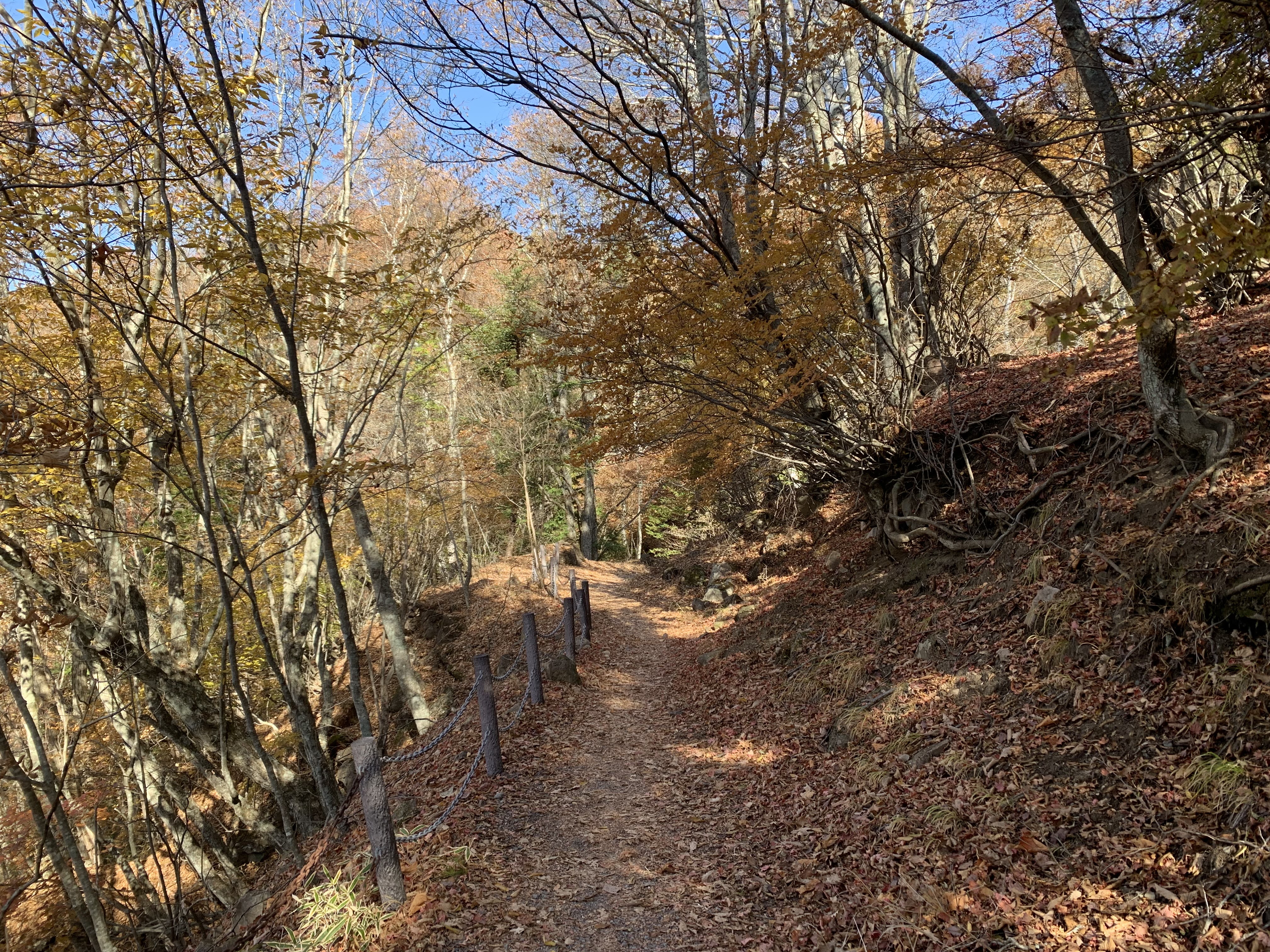 山路