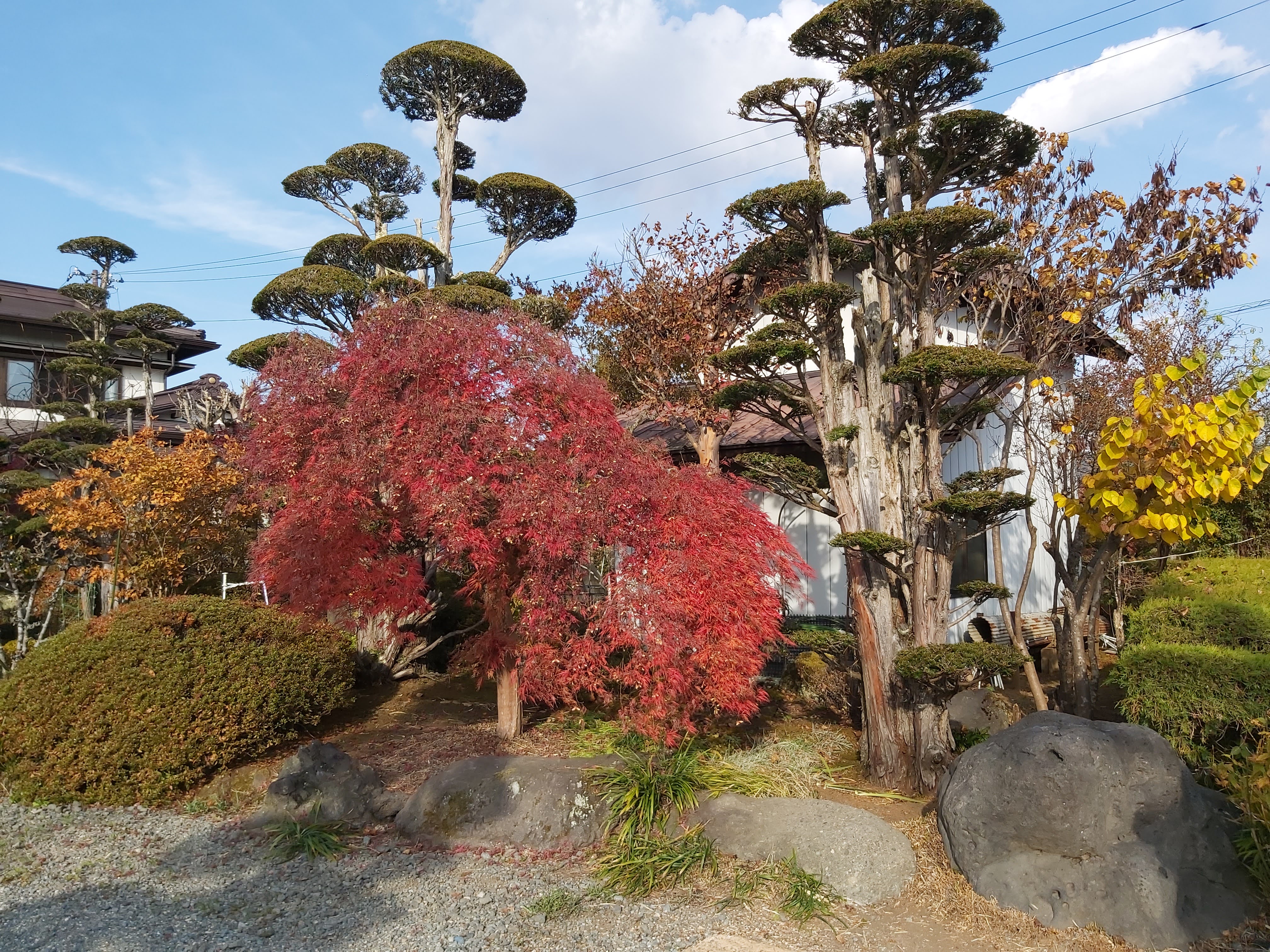 北口本宮富士淺間神社