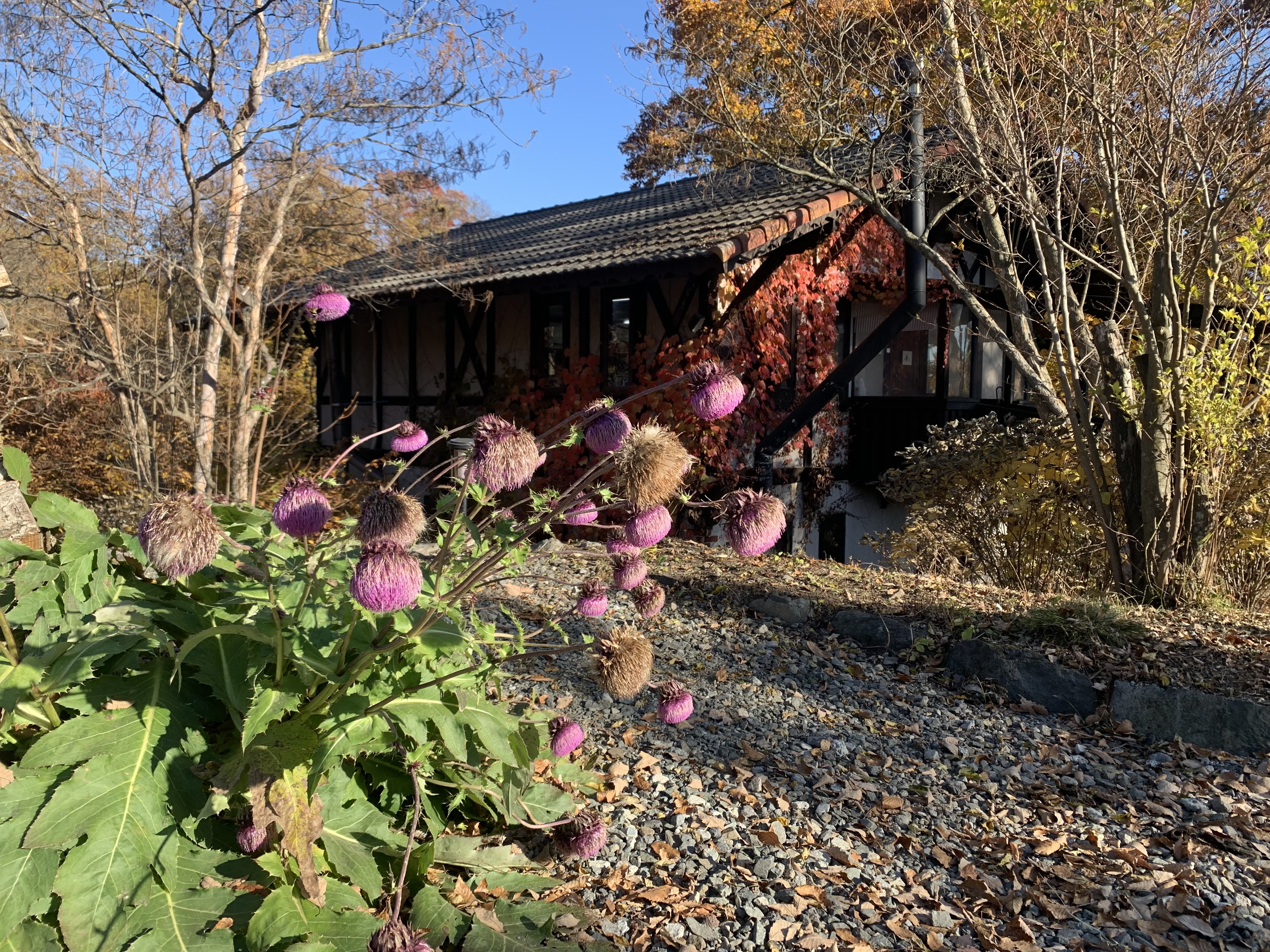 花