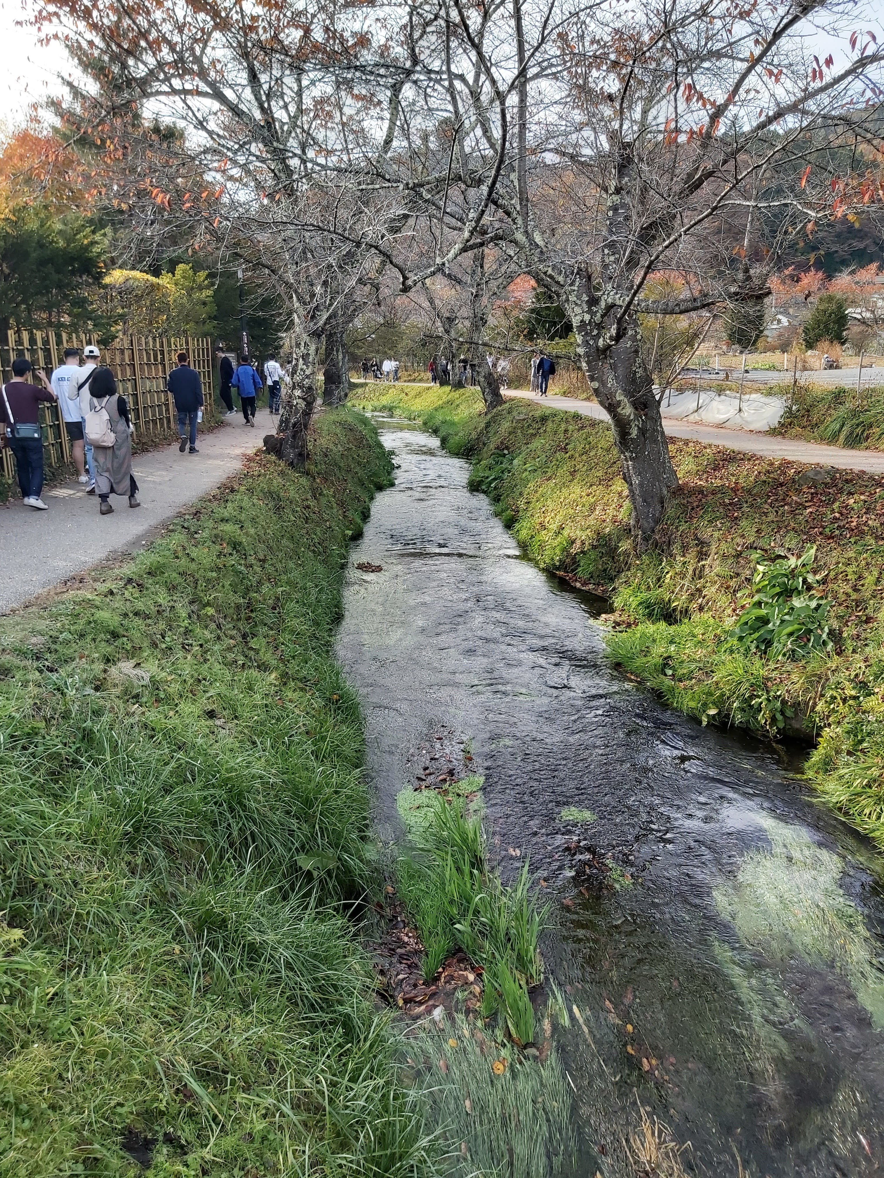 忍野八海