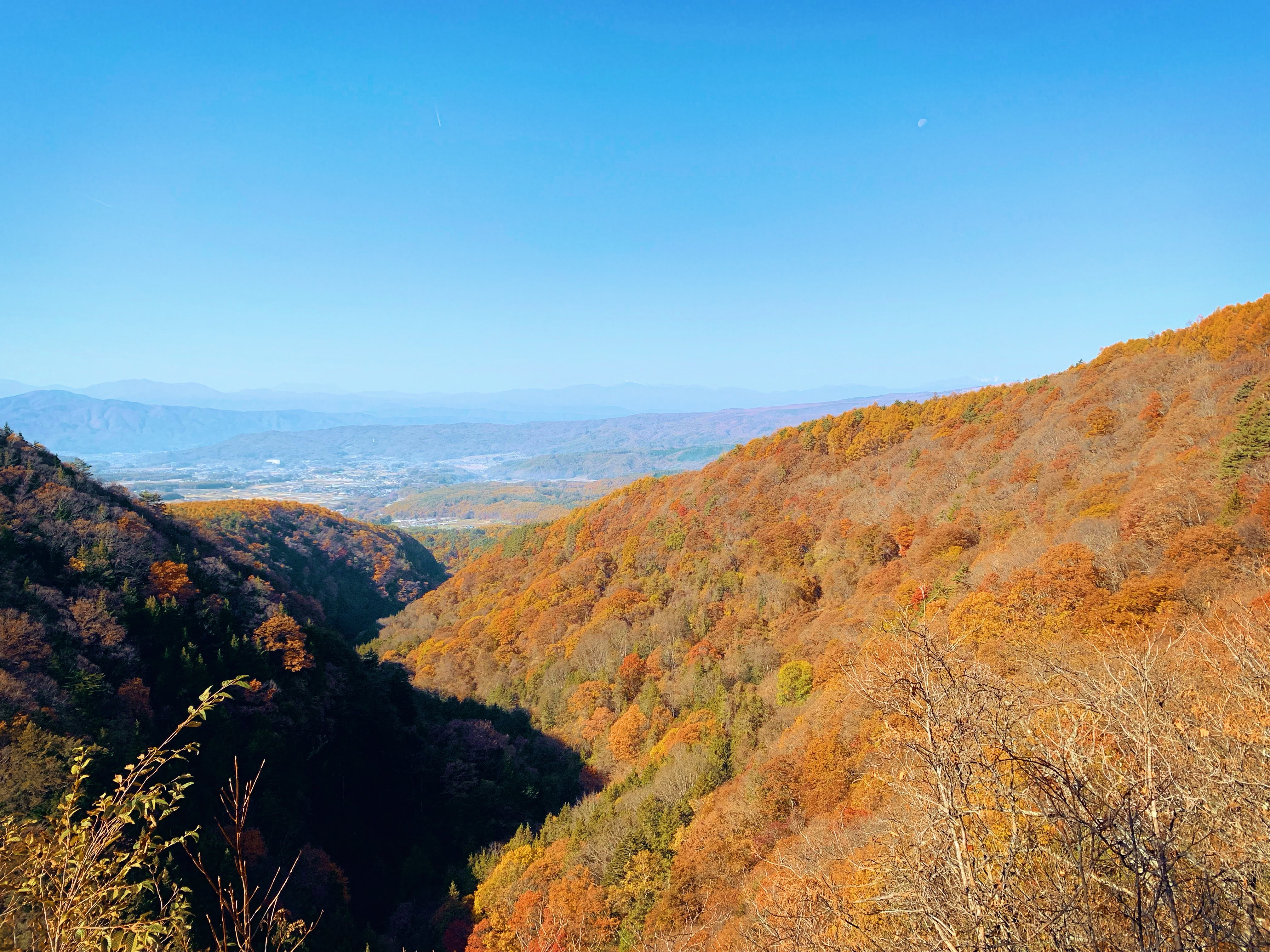 風景